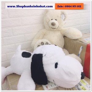 Gấu Bông Teddy Hàn Quốc - GAU05